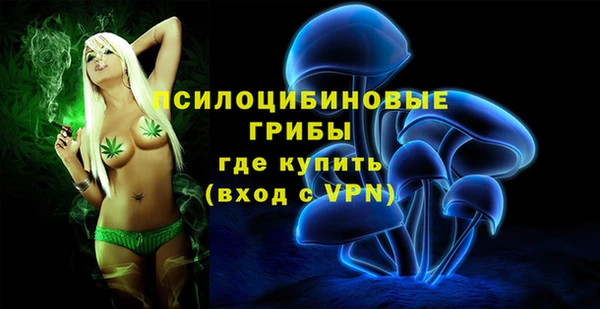 молекула духа Покров